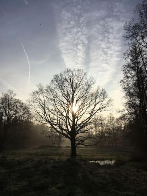 Gite D'Etape Du Tilleul, 4-8 Personnes La Celle-les-Bordes Esterno foto